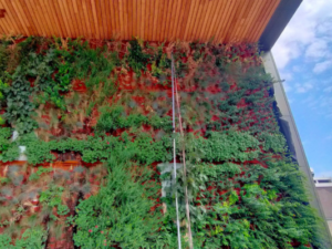 progetti di verde tecnologico